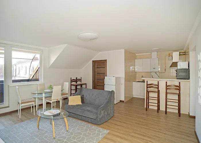 Castle - 2 Bedroom Flat Appartement Kaunas